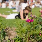 Frühling in Stuttgart 2