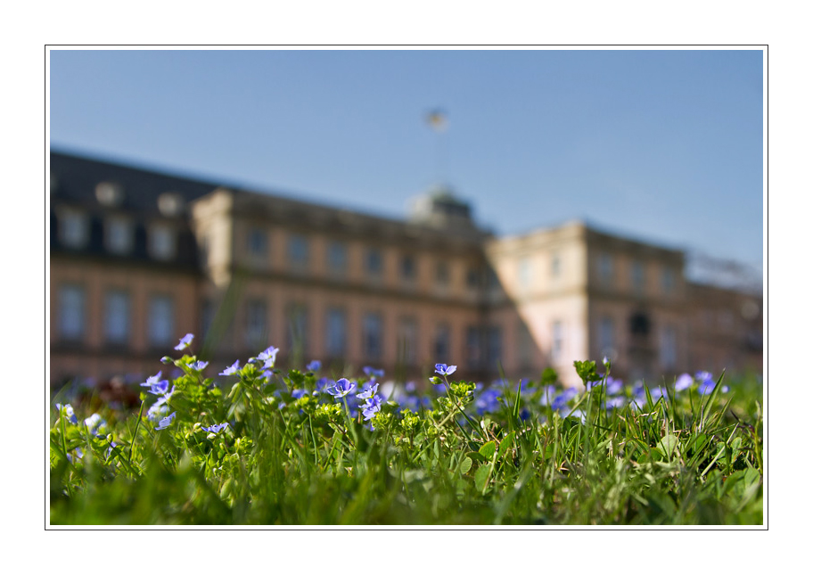 Frühling in Stuttgart