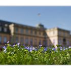 Frühling in Stuttgart