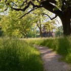 Frühling in Stuttgart