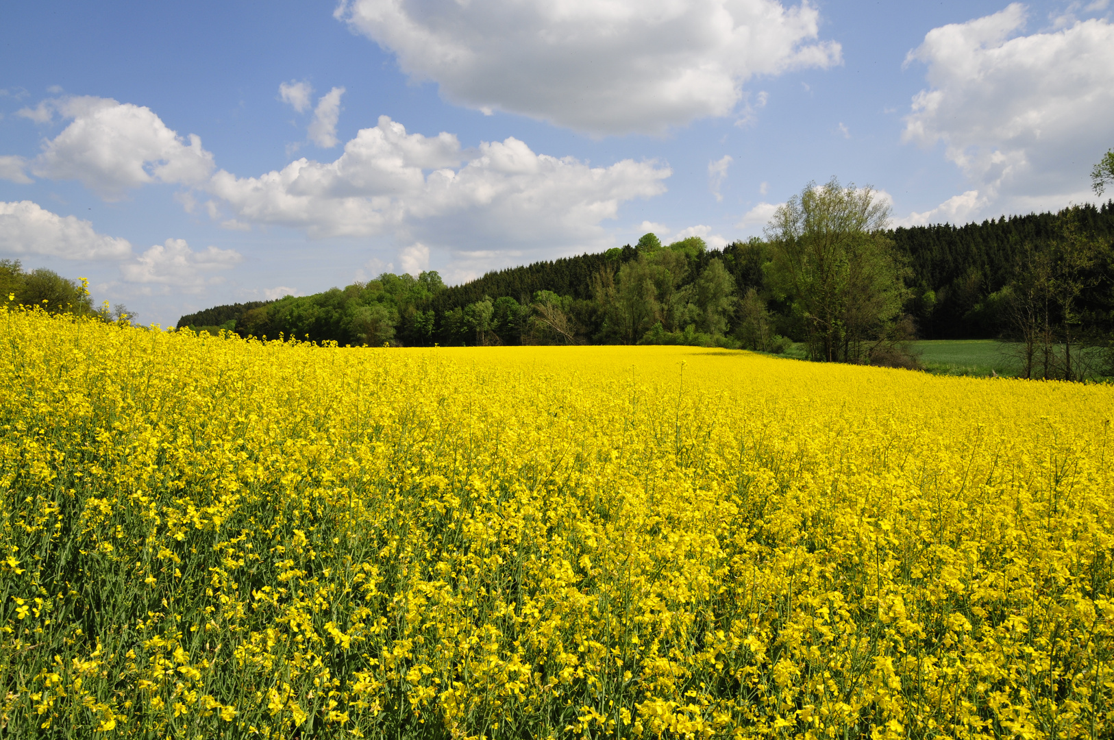 Frühling in Süddeutschland