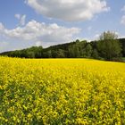 Frühling in Süddeutschland