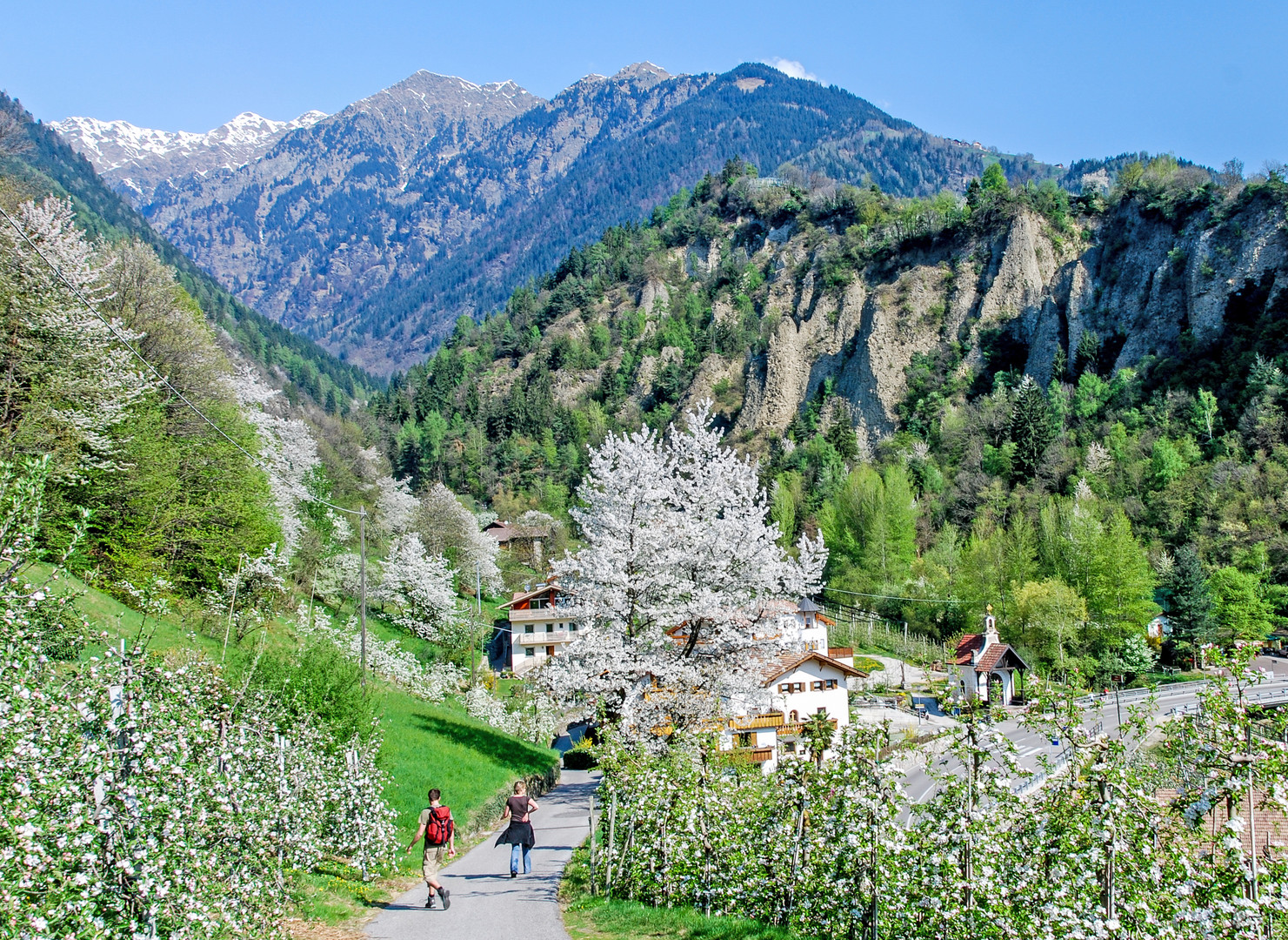 Frühling in Südtirol