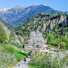 Frühling in Südtirol