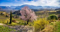 Frühling in Südtirol