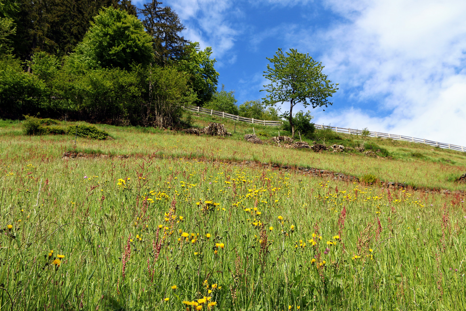 Frühling in Südtirol