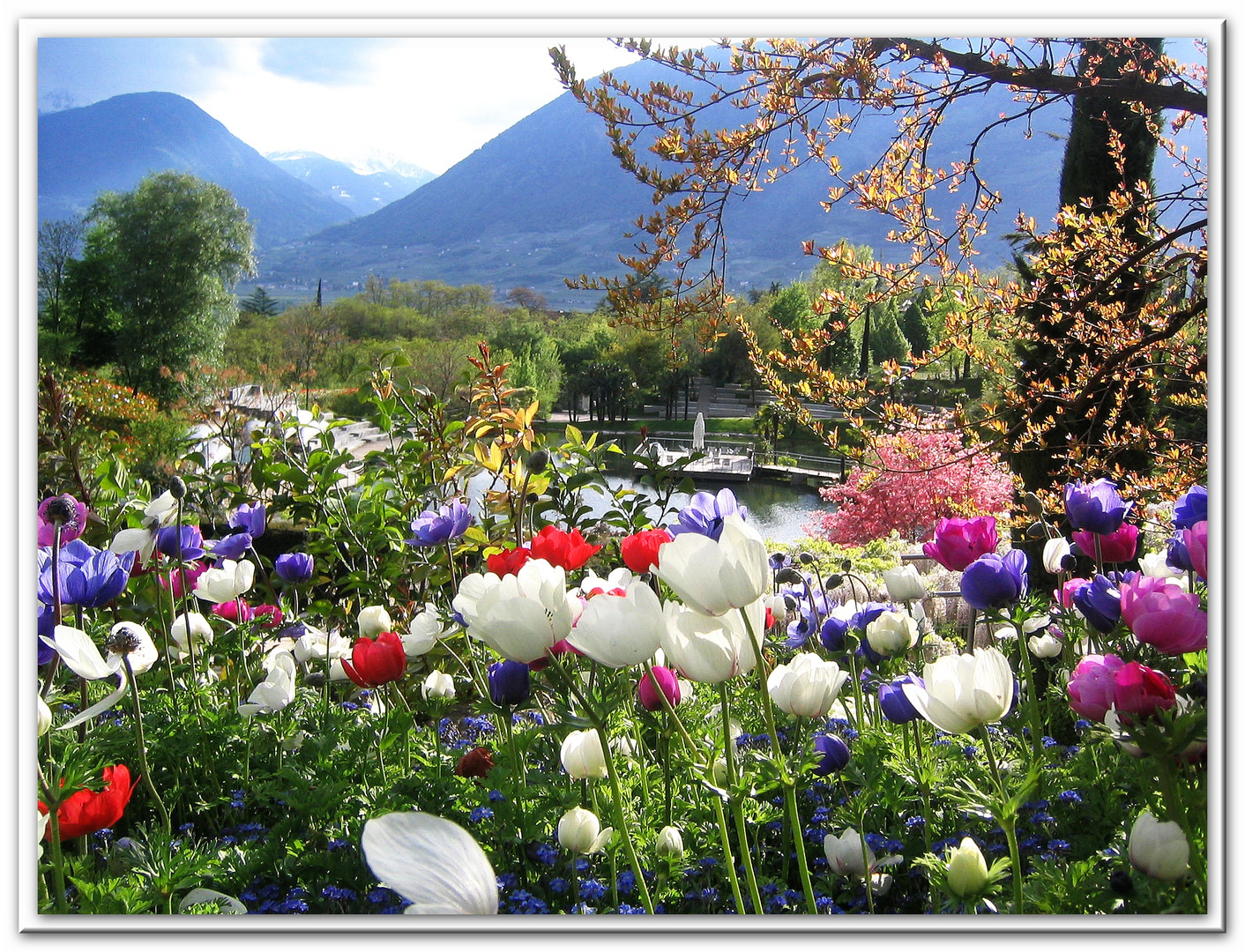 Frühling in Südtirol