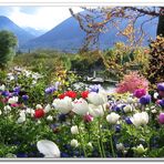 Frühling in Südtirol