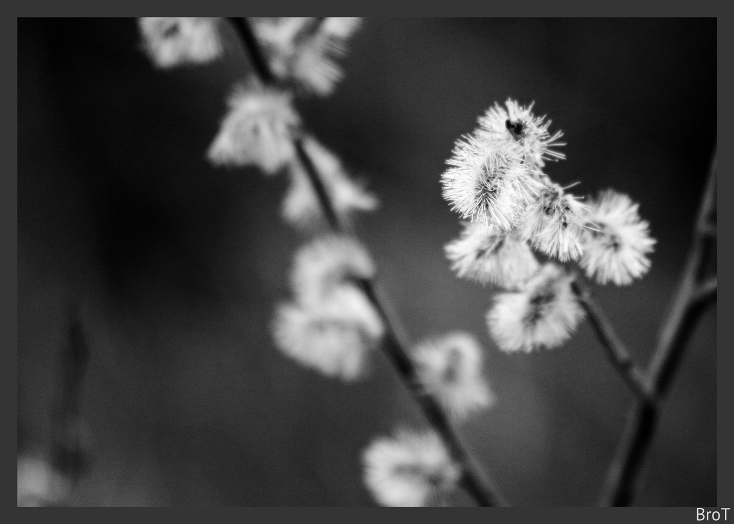 Frühling in SW