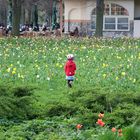 Frühling in Tegel