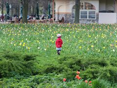 Frühling in Tegel