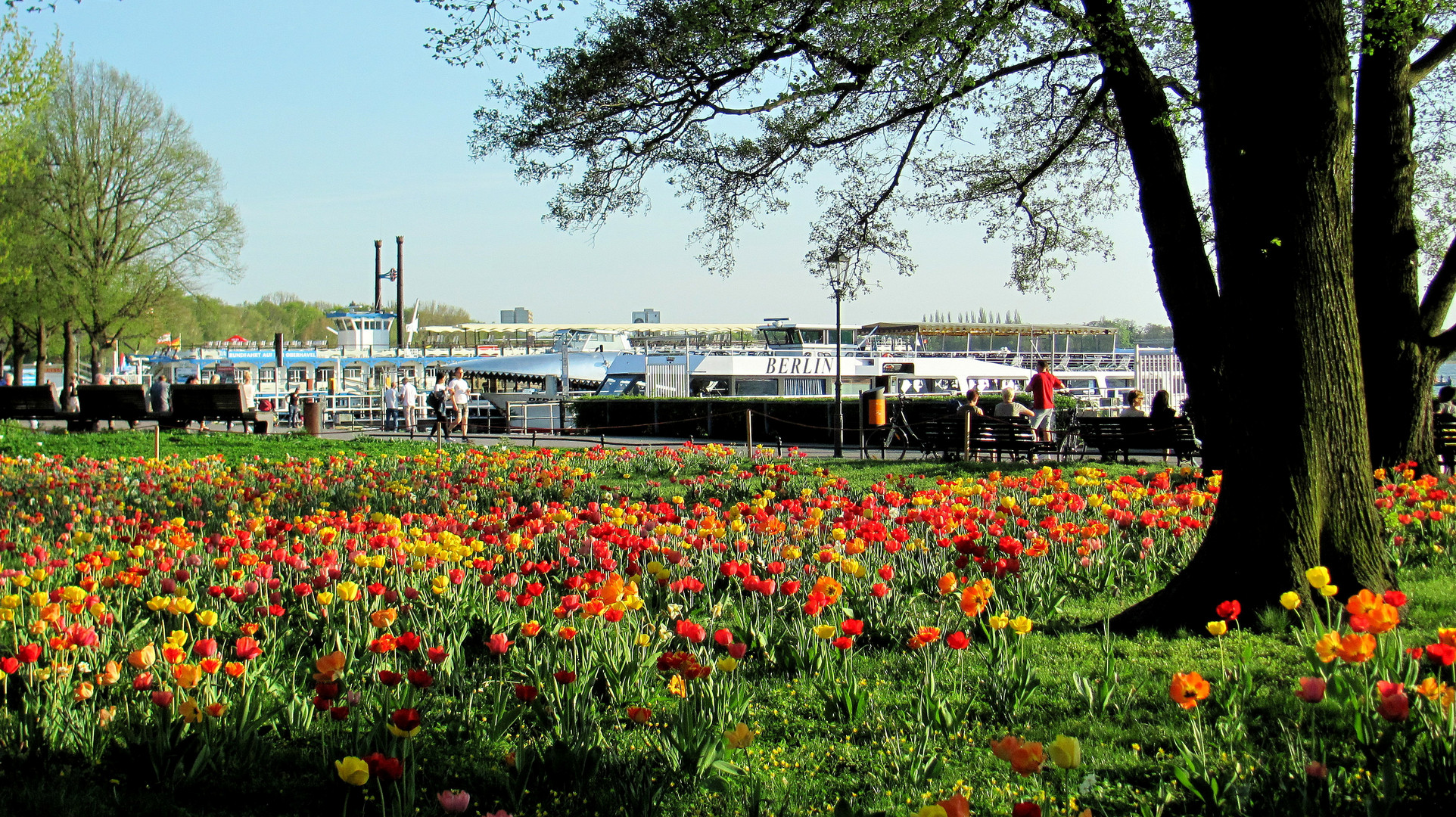 Frühling in Tegel