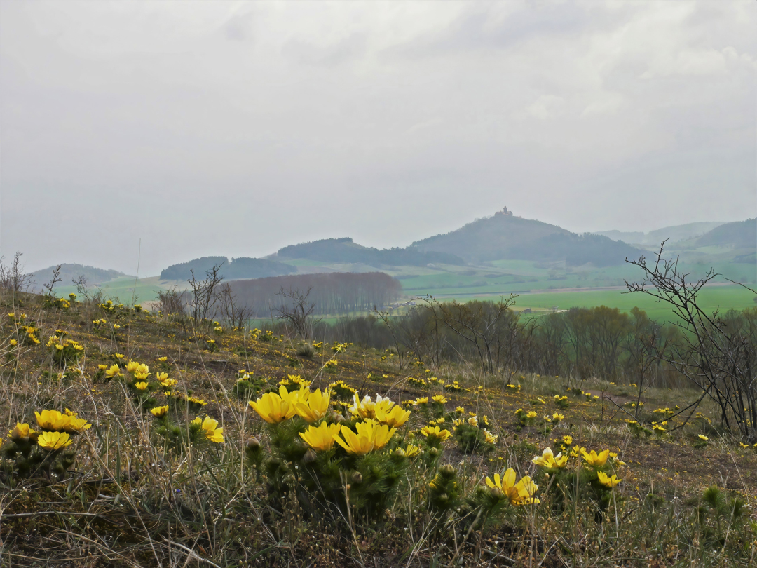 Frühling in Thüringen