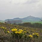 Frühling in Thüringen