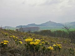 Frühling in Thüringen