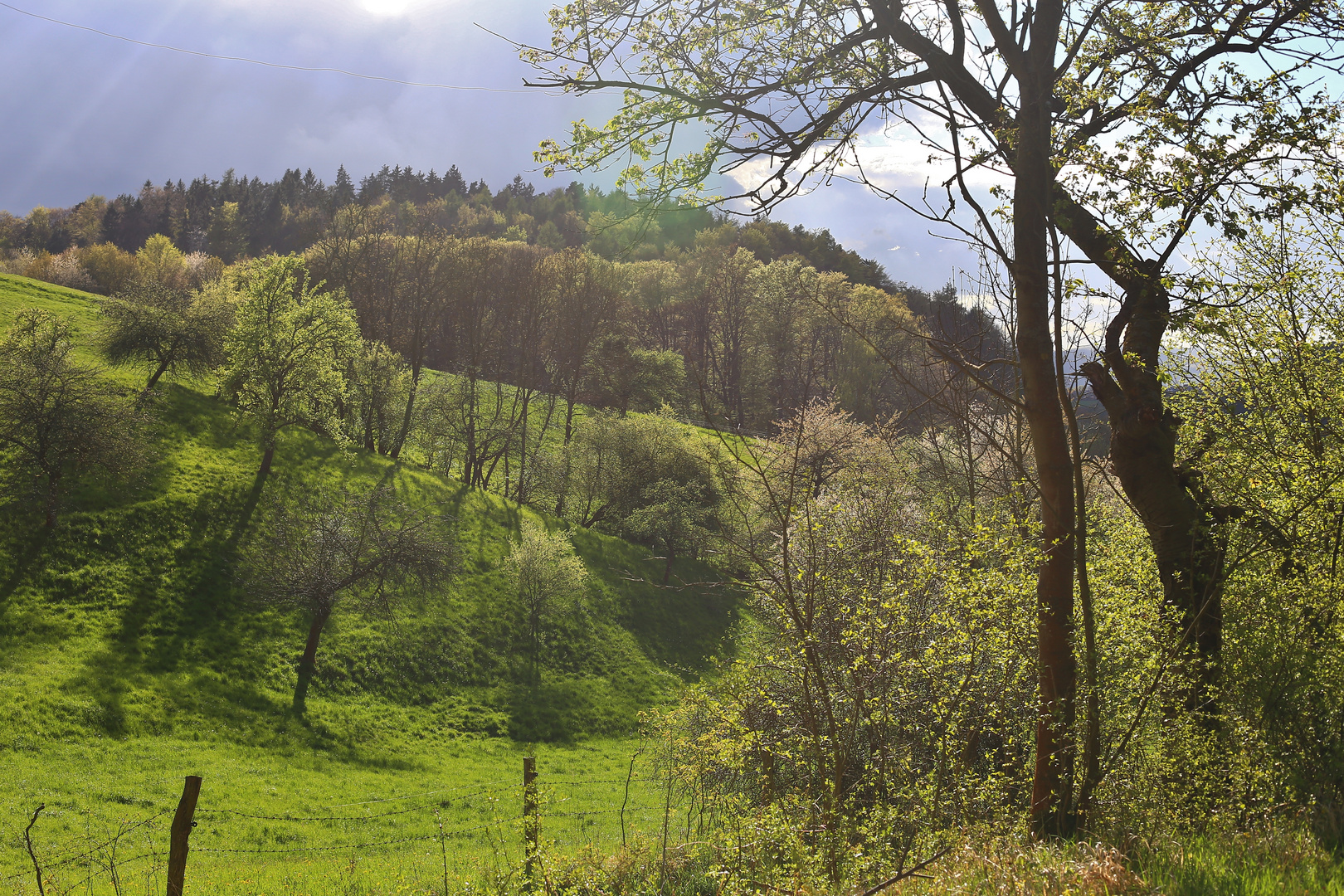 Frühling in Thüringen