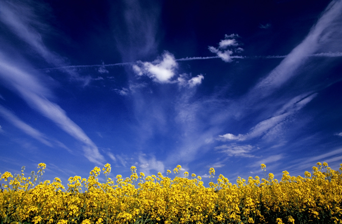 Fruehling in Thueringen