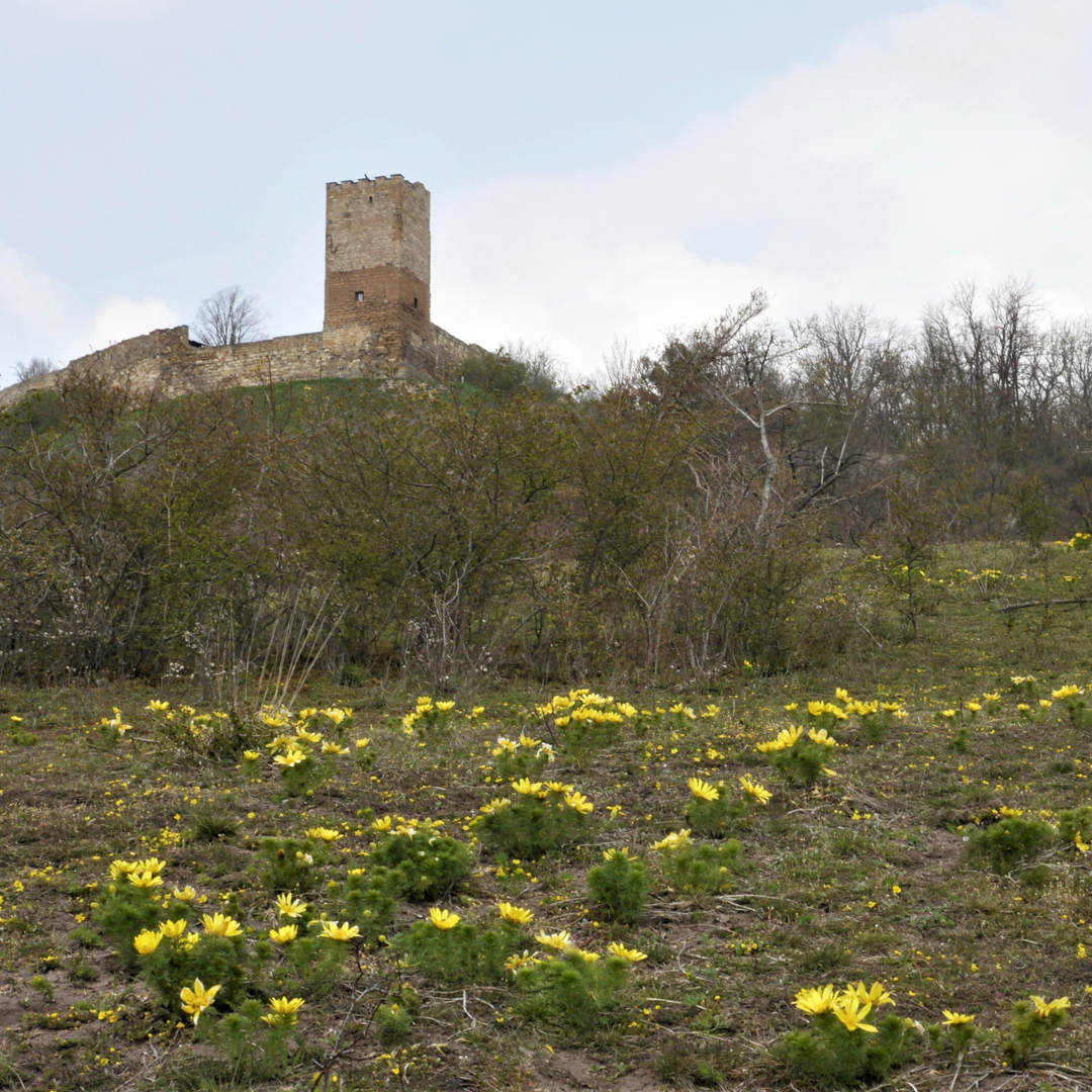 Frühling in Thüringen