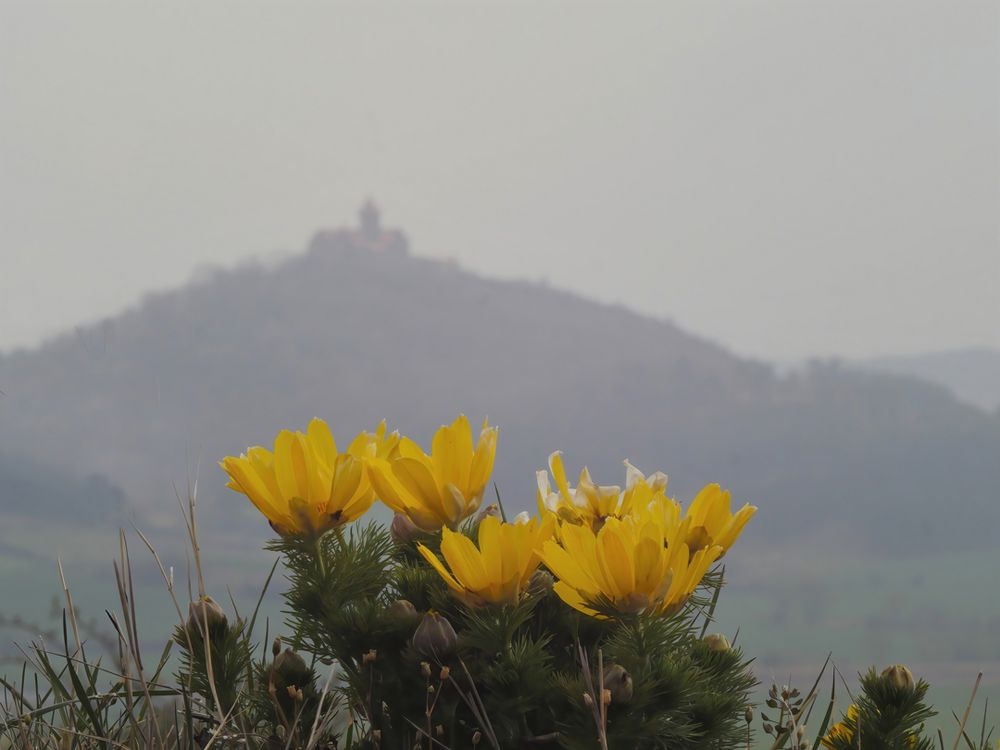 Frühling in Thüringen