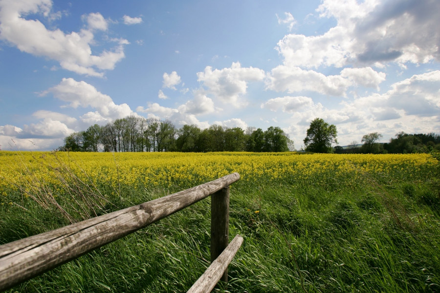 Frühling in Thüringen