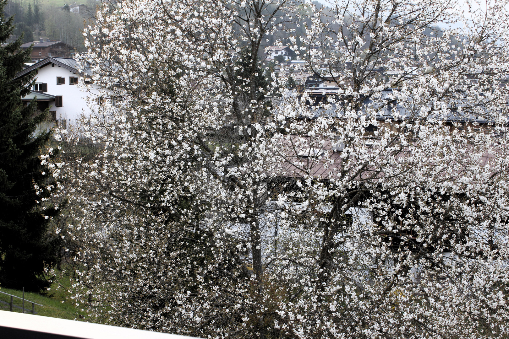 frühling in tirol