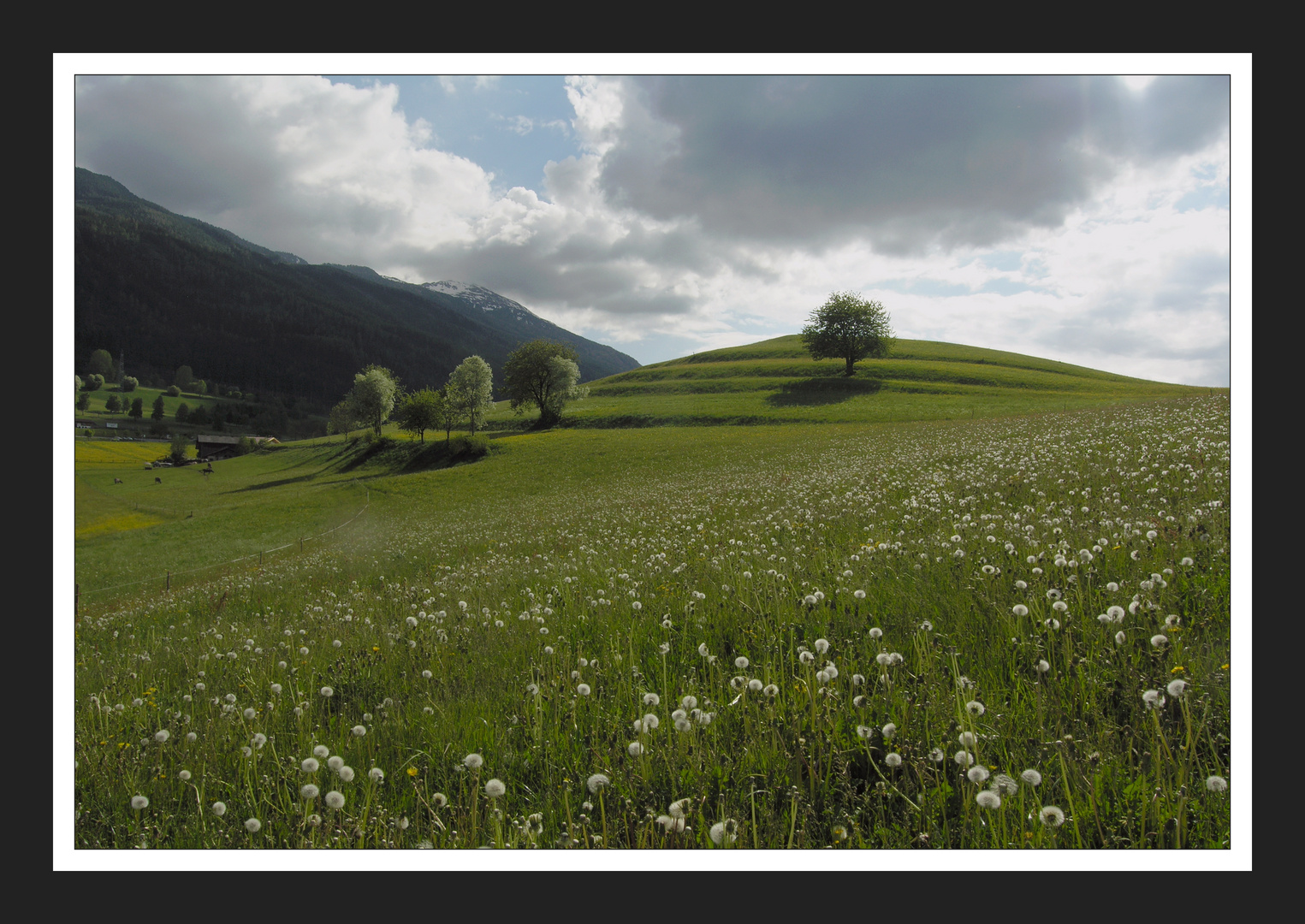 Frühling in Tirol