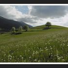 Frühling in Tirol