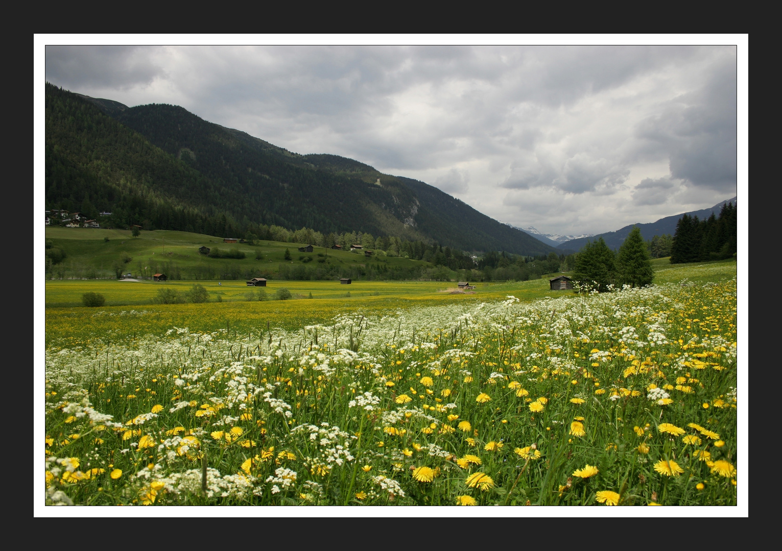 Frühling in Tirol