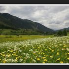 Frühling in Tirol