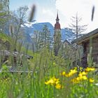 Frühling in Tirol