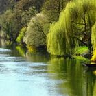 Frühling in Tübingen (2)