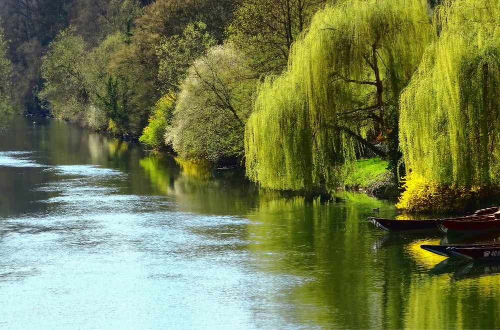 Frühling in Tübingen (2)