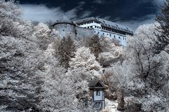 Frühling in Tübingen