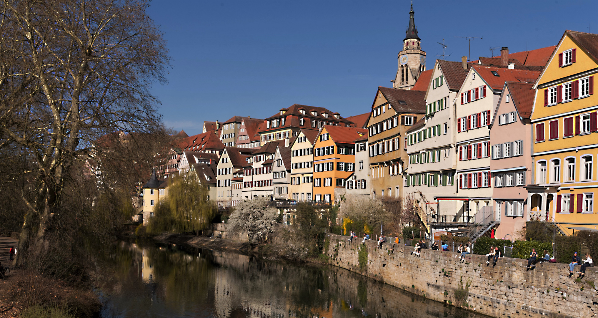 Frühling in Tübingen