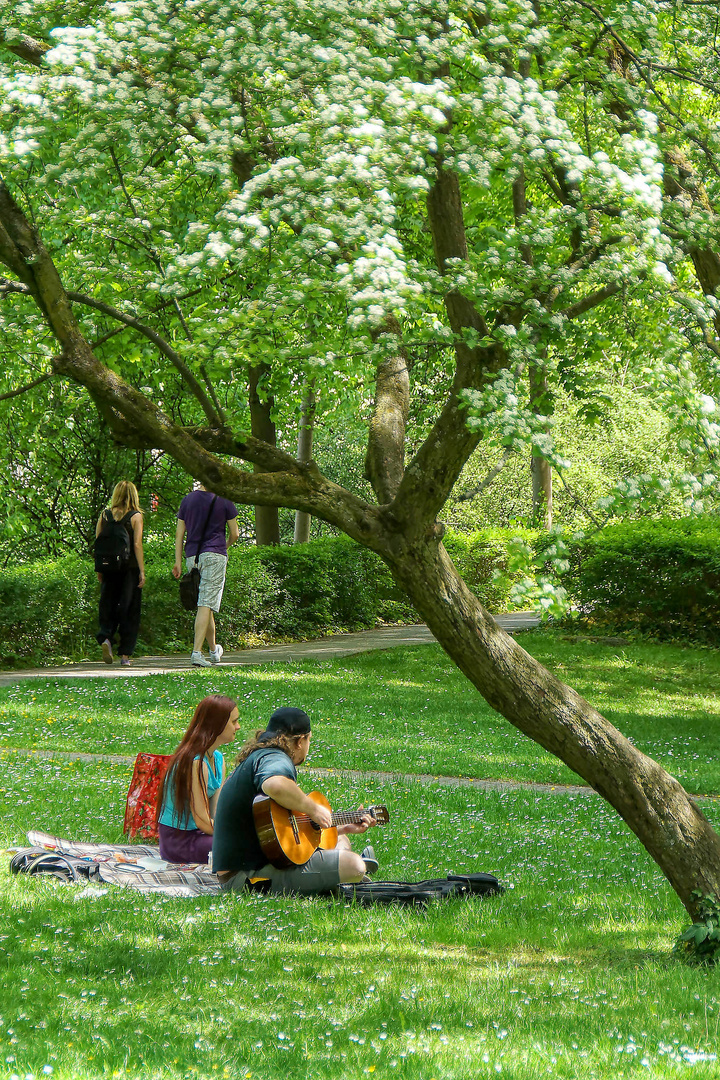 Frühling in Tübingen