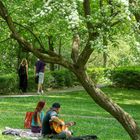 Frühling in Tübingen