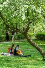 Frühling in Tübingen