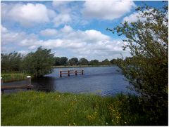 Frühling in Twiske, einem Naherholungsgebiet der Amsterdamer