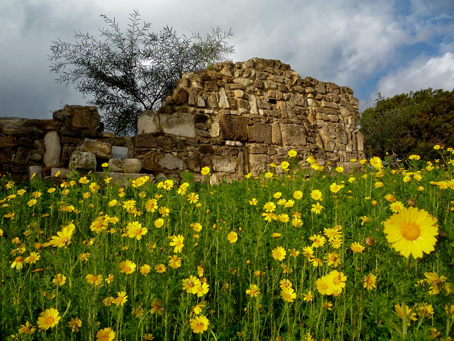 Frühling in Tyre