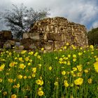 Frühling in Tyre