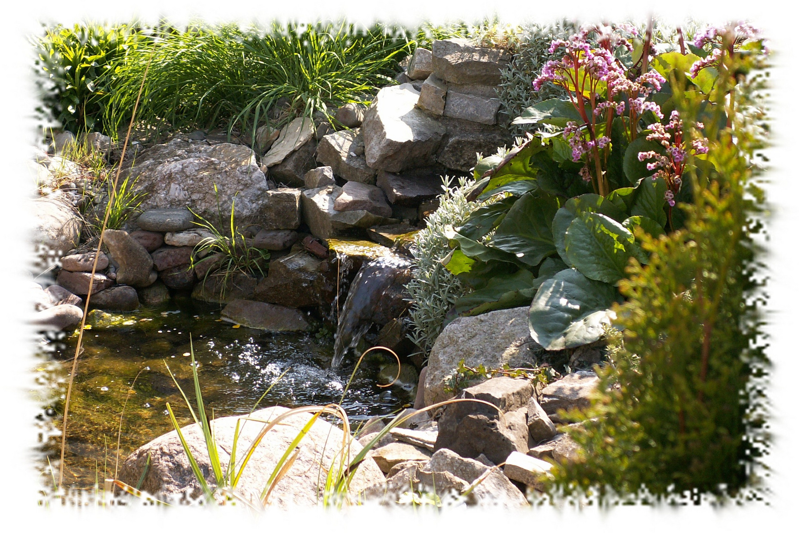 Frühling in unserem Garten