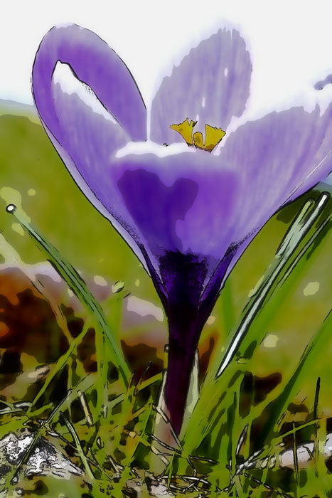 Frühling in unserem Garten