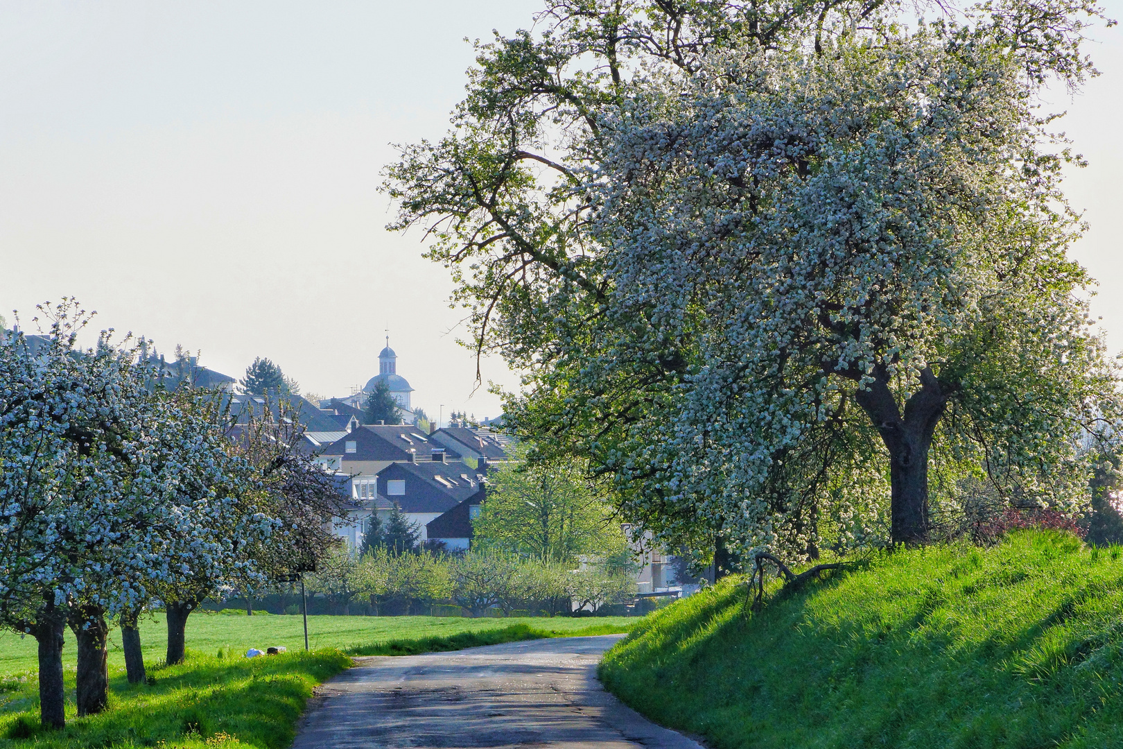 Frühling in Unterensingen 