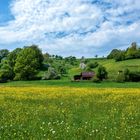 Frühling in Unterfranken