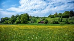 Frühling in Unterfranken