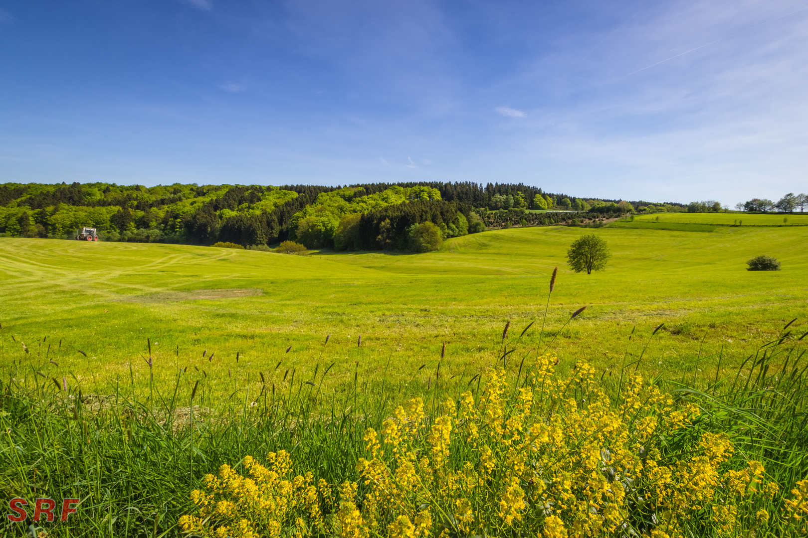 Frühling in Valbert