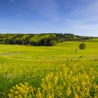 Frühling in Valbert