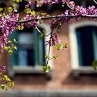 Frühling in Venedig