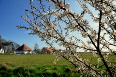 Frühling in Vitte