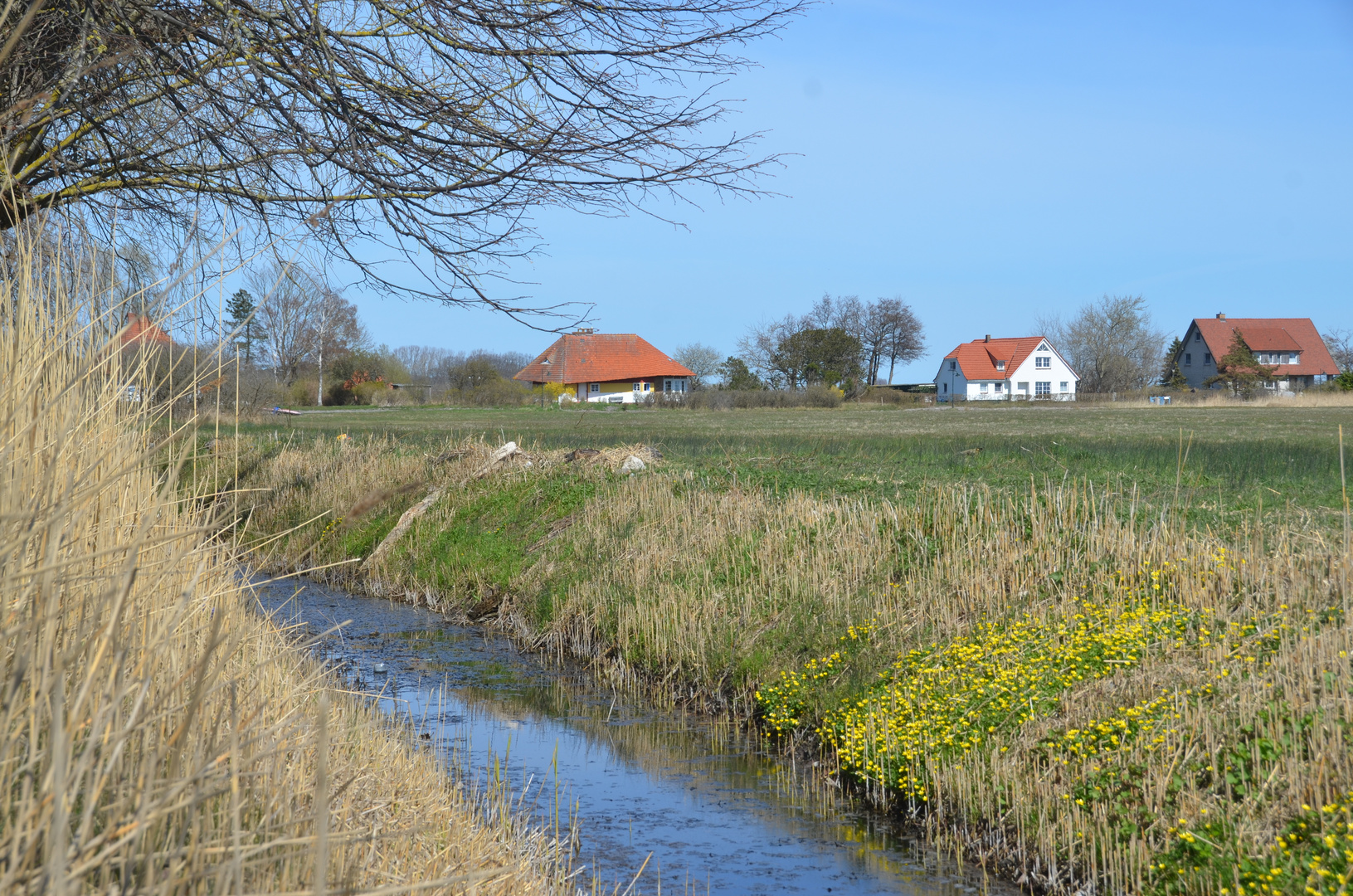 Frühling in Vitte 